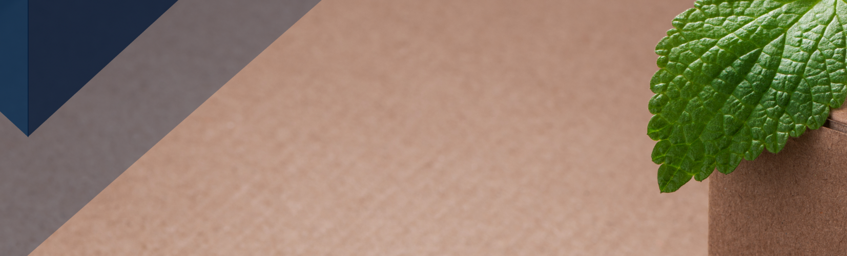 Copy of Copy of EPI Header Image - Press Release