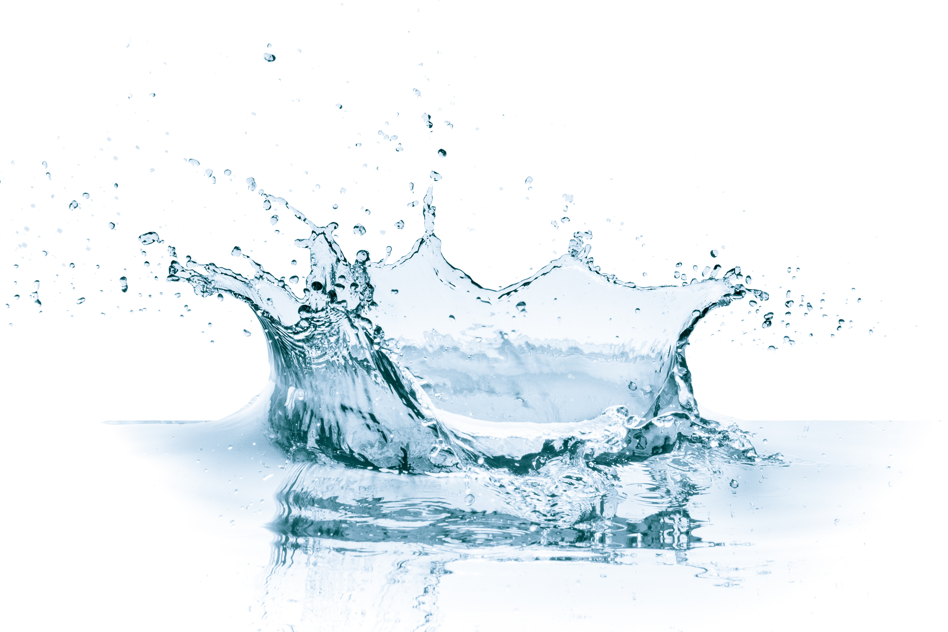 shutterstock_374830135