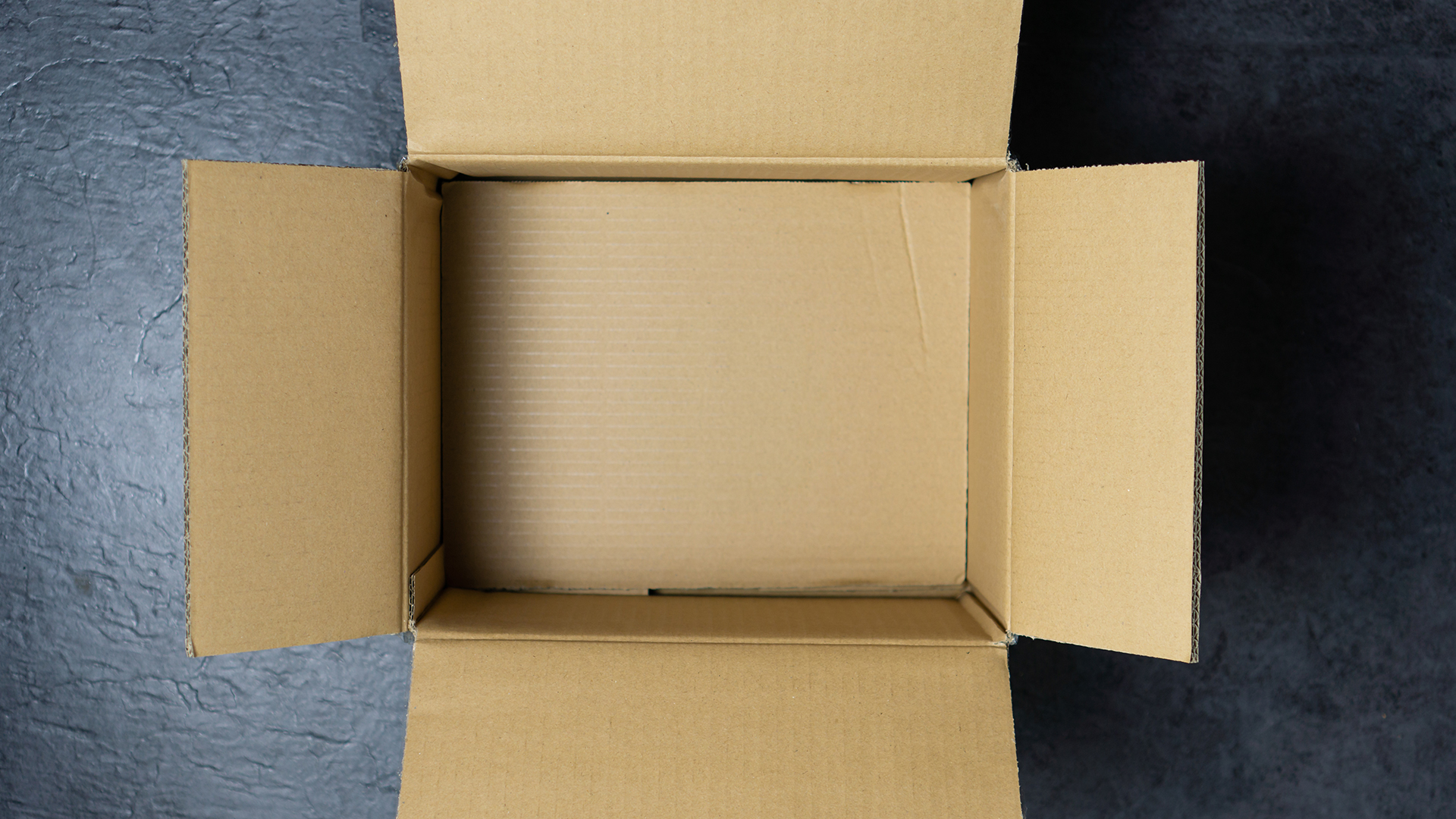 shutterstock_1577385520